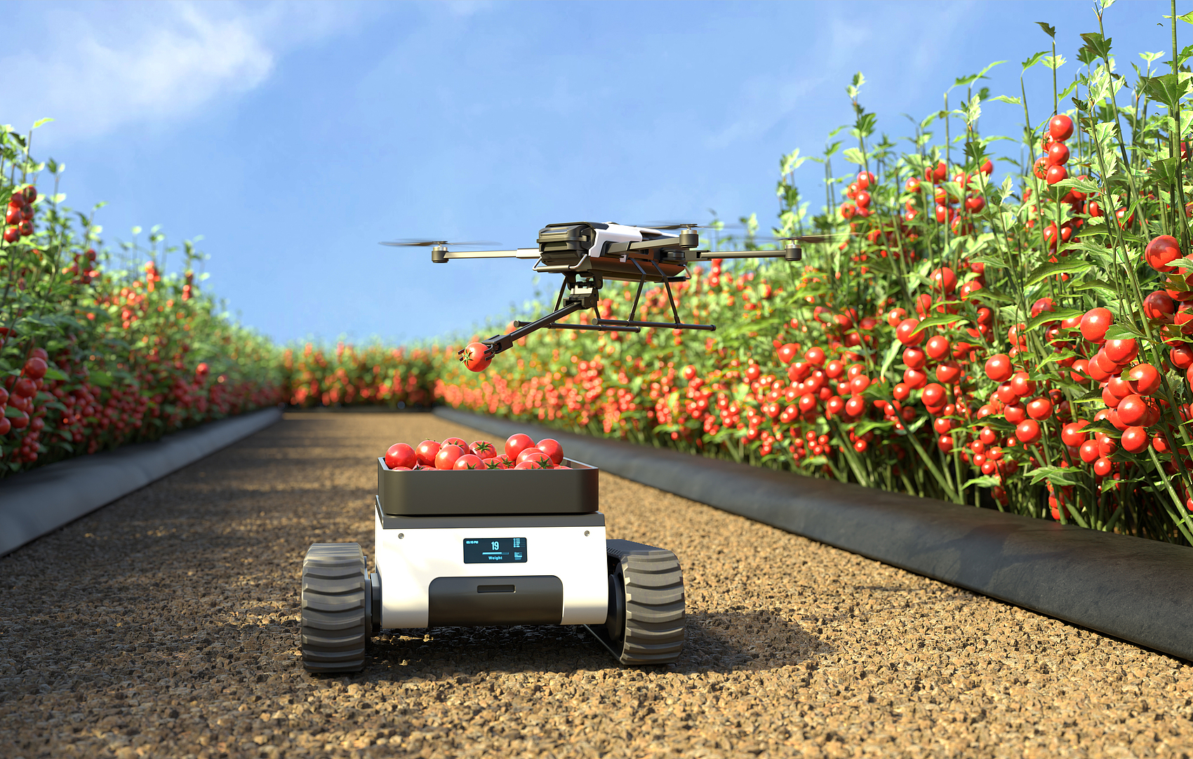 圖片4.png 圖片4.png